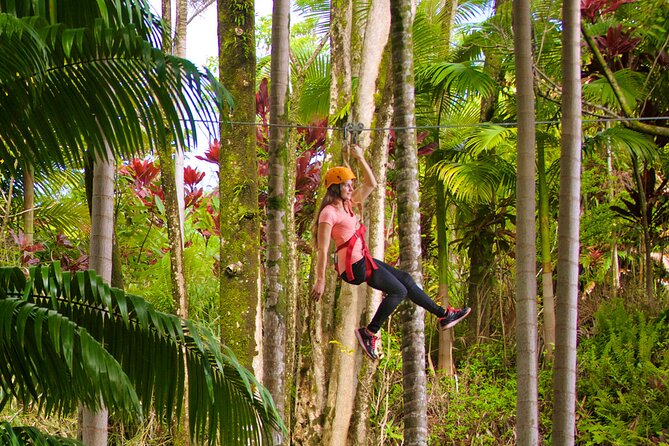 Big Island Zipline Adventure - Directions