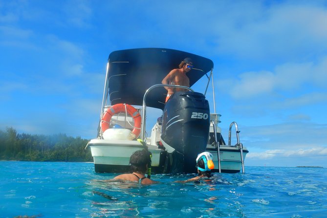 Boat Tour 1/2 Day Excursion in the Lagoon of Moorea - Lunch and Refreshments