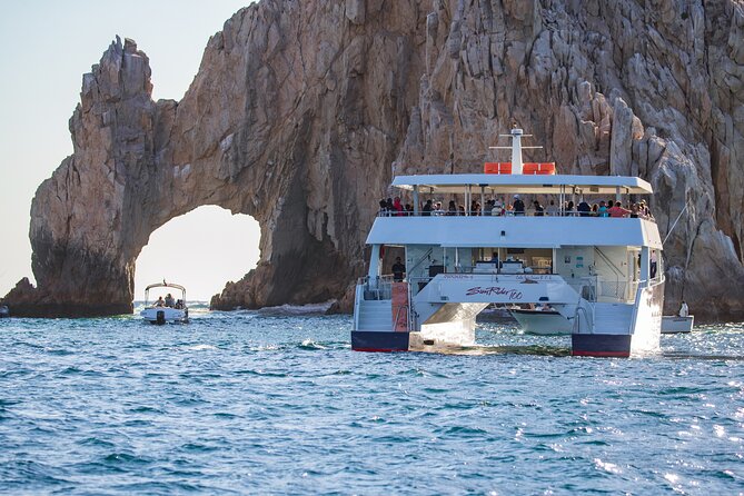 Cabo San Lucas Whale Watching Lunch Cruise - Common questions