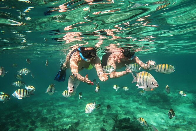 Cancun Luxury Sailing & Snorkeling With Lunch and Open Bar Onboard - Important Additional Information