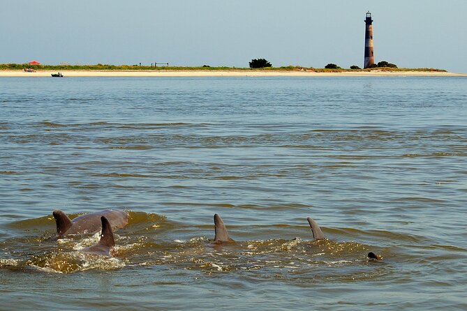 Charleston Marsh Eco Boat Cruise With Stop at Morris Island Lighthouse - Cancellation and Weather Policy