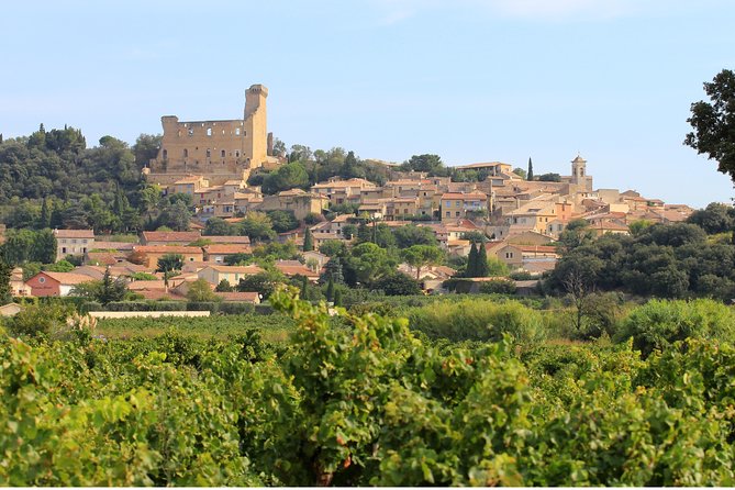 Châteauneuf Du Pape Wine Day Tasting Tour Including Lunch From Avignon - Guide and Driver Highlights