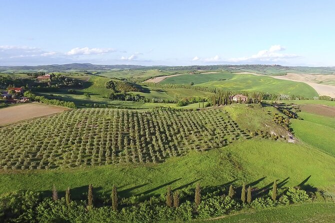 Chianti Wine Tour From Florence - Recommendations for Participants