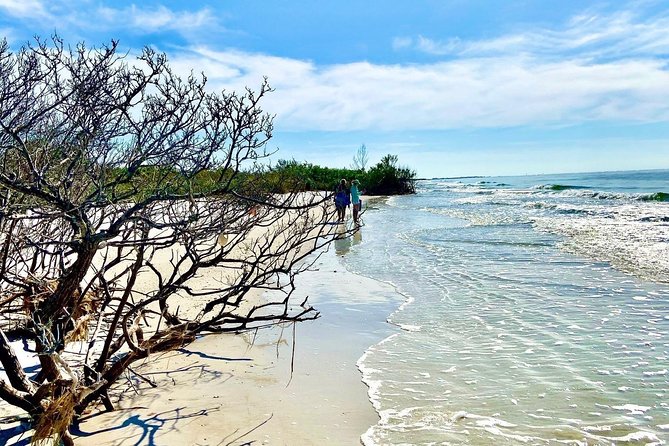 Clear Kayak Tour of Shell Key Preserve and Tampa Bay Area - Guest Testimonials