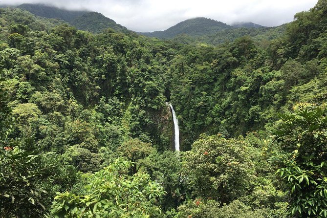 Combo La Fortuna Waterfall and Volcano Hike & Hotsprings - Tour Operator Details