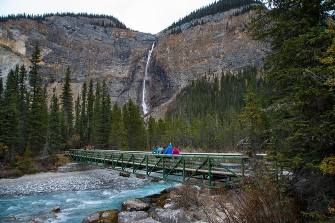 Discover Grizzly Bears From Banff - Tour Experience