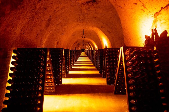 Discover The Cellars in The Heart of The Countryside in Champagne - Common questions