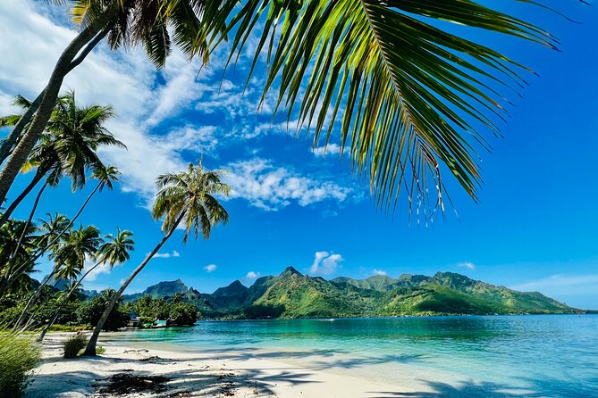 Discovery of Photography in Moorea, Photo Tour & Class - Booking Information and Pricing