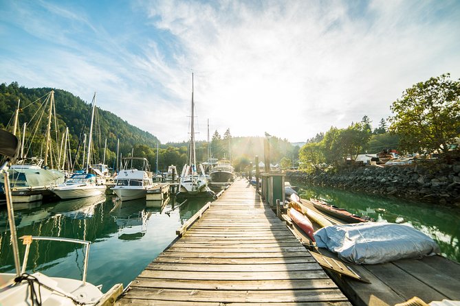 English Bay Jet Ski Tour From Vancouver With Dinner on Bowen Island - Support and Inquiries