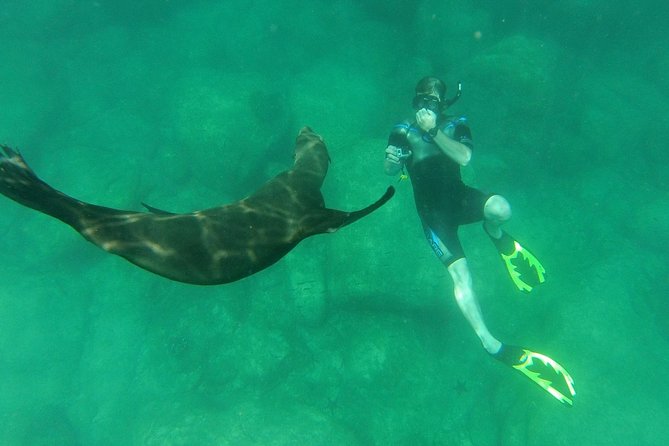 Espiritu Santo Island Snorkel & Sea Lion Adventure - Boat Features and Wildlife Interactions