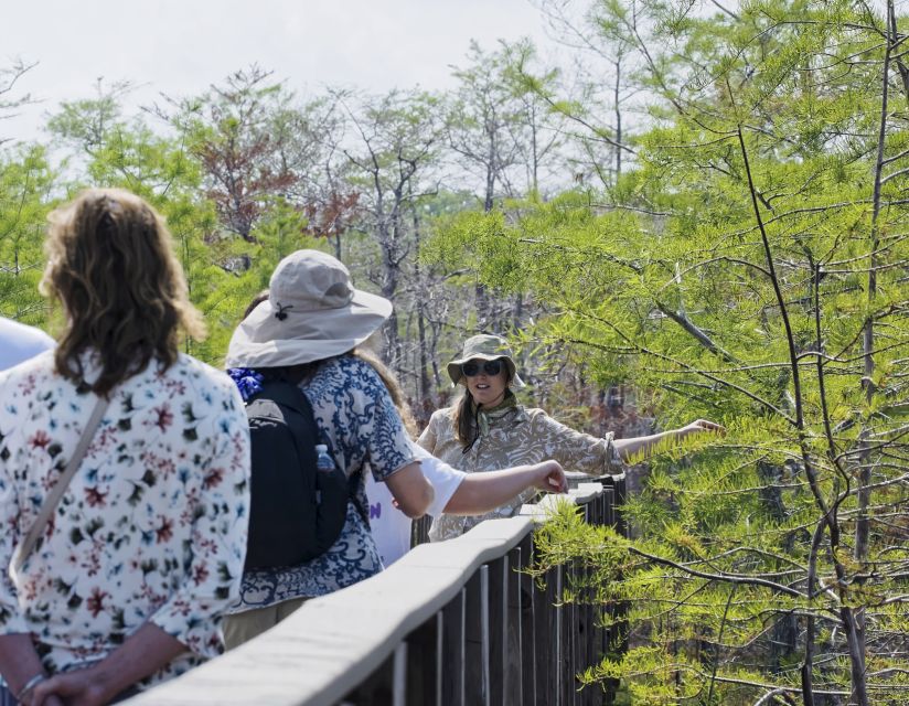 Everglades Day Safari From Fort Lauderdale - Activity Overview