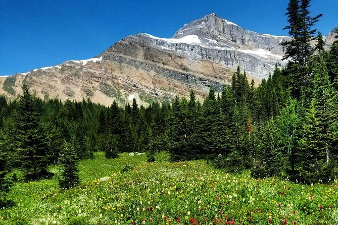 Exclusive Skoki Backcountry Guided Hiking in Lake Louise With Van Shuttle - Additional Information for Travelers