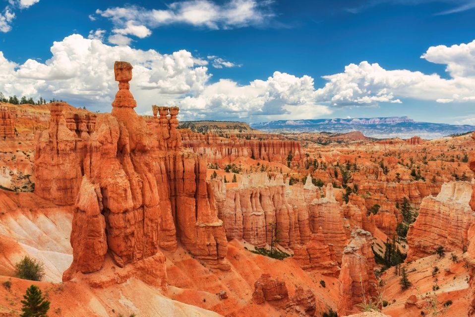 Explore Bryce Canyon: Private Full-Day Tour From Salt Lake - Park Highlights