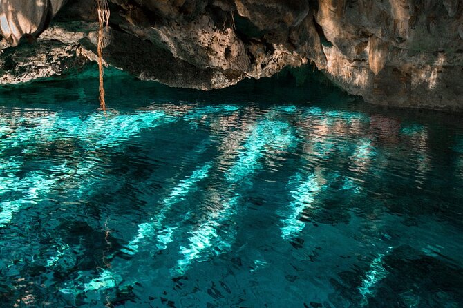 Five Cenotes Jungle Experience in the Riviera Maya - Host Responses to Feedback