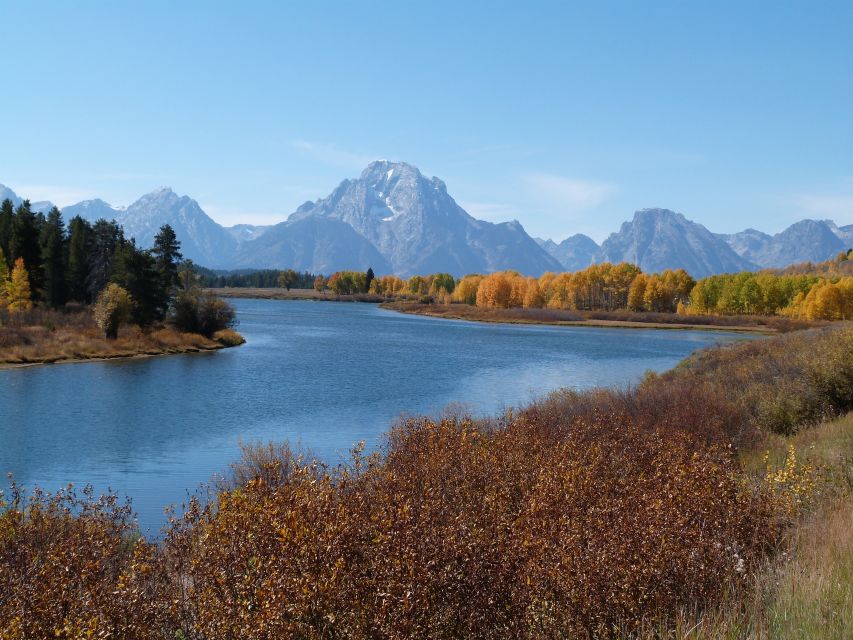 From Jackson: Half-Day Grand Teton National Park Tour - Recommended Guides