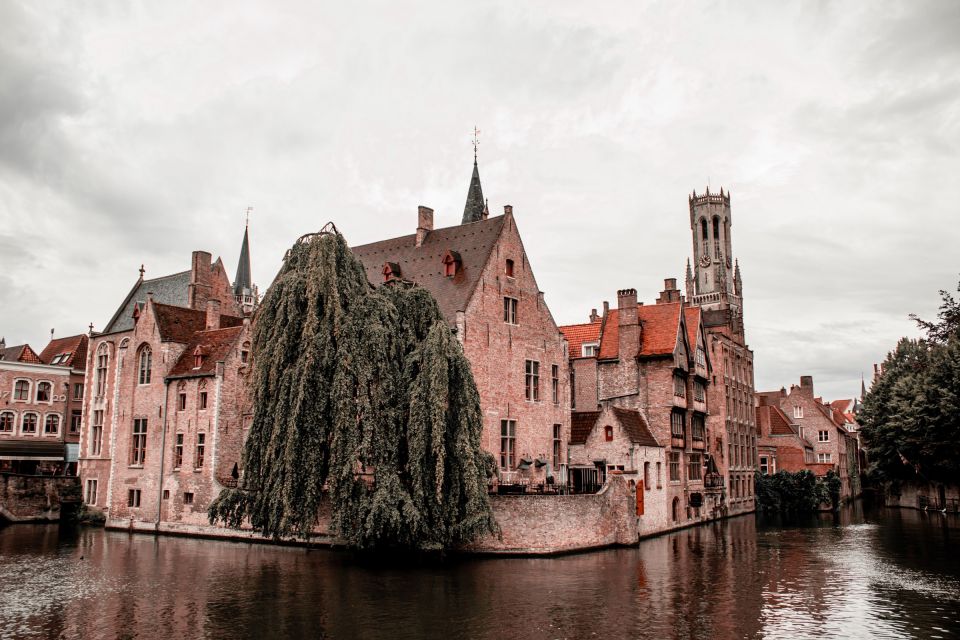 From Paris: Private Bruges Tour - Accessibility Details