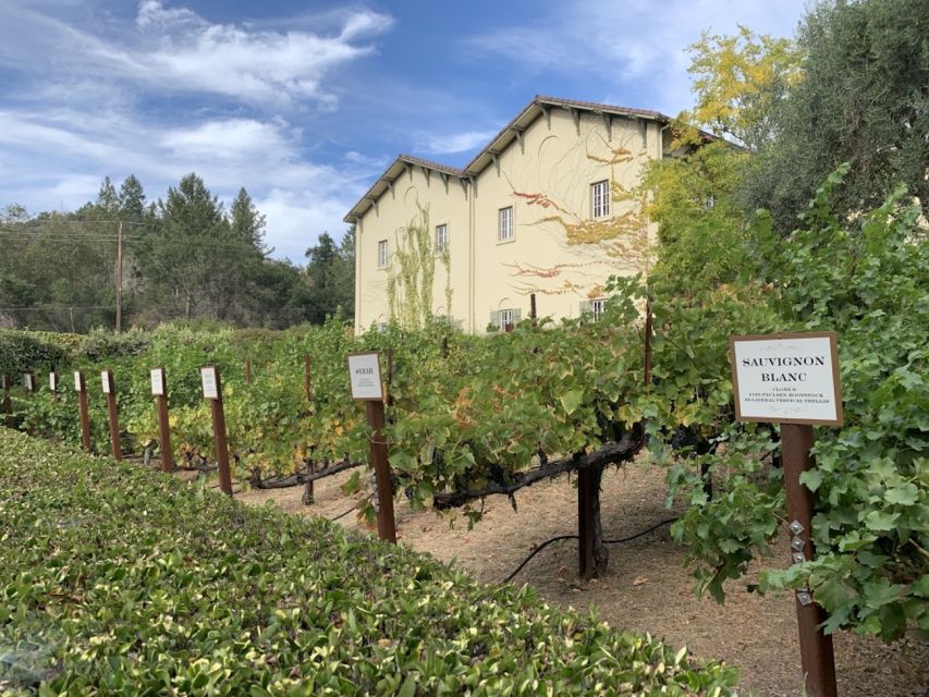 From San Francisco: Private Beer and Wine SUV Tour - Wineries Choices