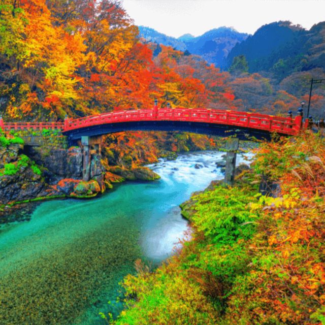 From Tokyo: Nikko World Heritage Private Tour by Car and Van - Additional Information