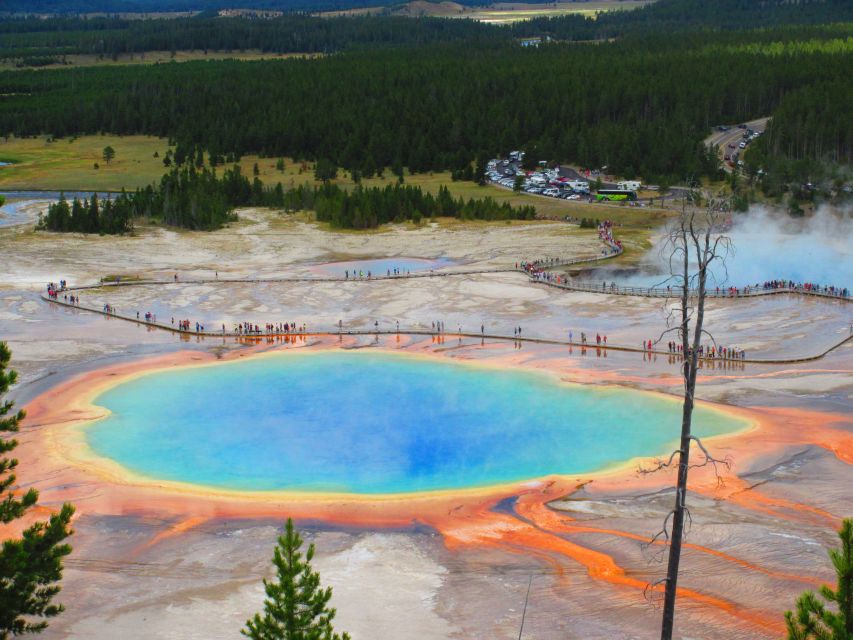 From West Yellowstone: Lower Loop Active Van Tour - Final Words