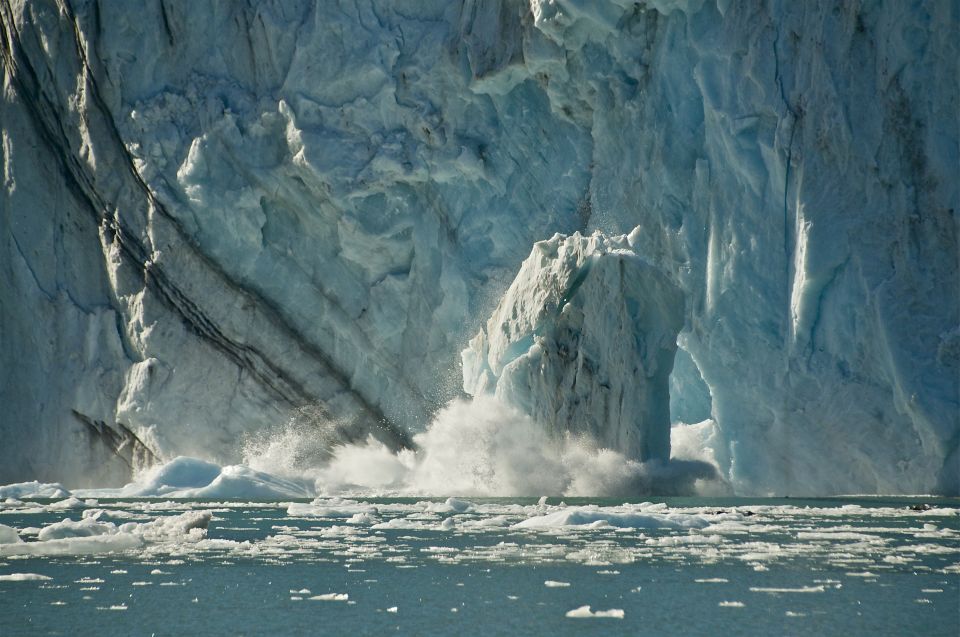 From Whittier/Anchorage: Prince William Sound Glacier Cruise - Wildlife Spotting