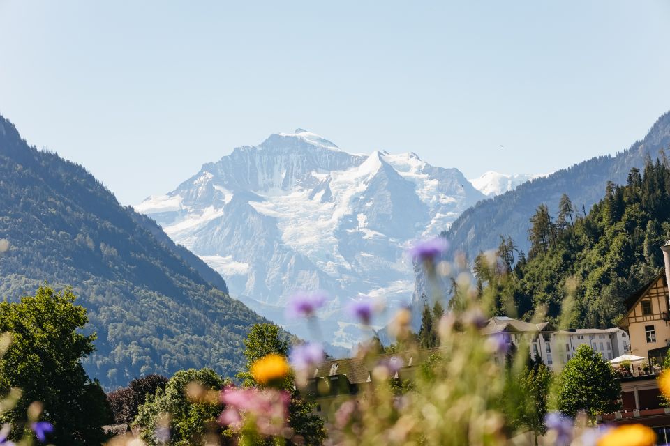 From Zurich: Guided Day Trip to Jungfraujoch With Train Ride - Additional Trip Details and Location