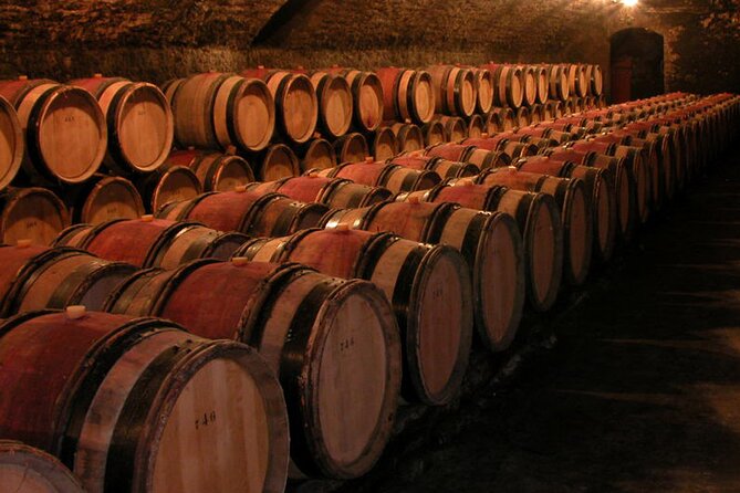 Full Day Private Tour 10 Premiers & Grands Crus, The Best of Burgundy - Traveler Praise