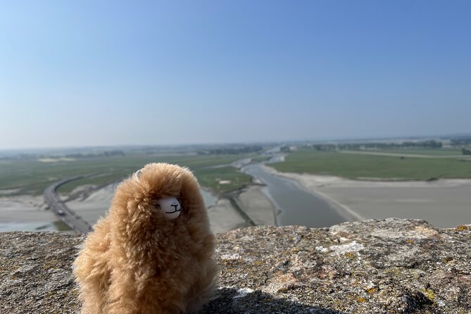 Full-Day Private Tour in Mont Saint Michel With Calvados Tasting - Expert Guide