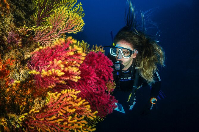 Full-Day Snorkeling and Guided Dive in the Calanques National Park From Marseille - Cancellation Policy