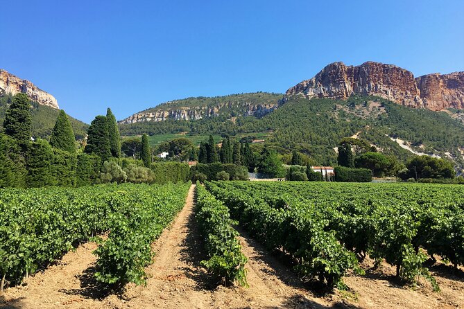 Full-Day Wine Tour Around Bandol & Cassis From Marseille - Booking Information