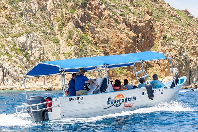 Glass-Bottom Boat Cruise in Cabo San Lucas - Additional Information