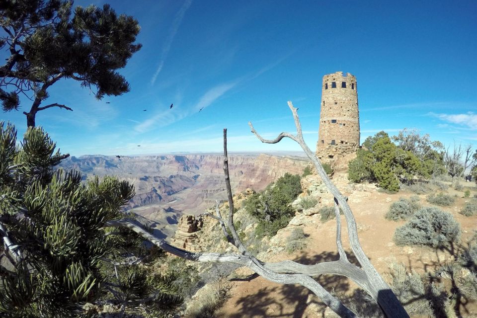 Grand Canyon: Private Day Hike and Sightseeing Tour - Guide Expertise