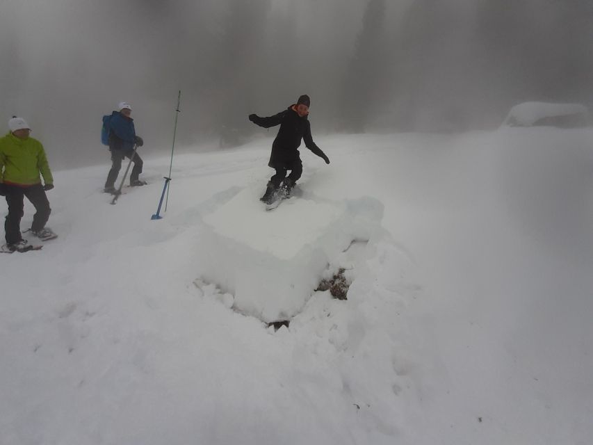 Gstaad: Avalanche Workshop for Snowshoe Tours - Common questions