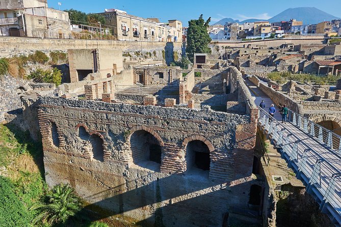 Guided Day Tour of Pompeii and Herculaneum With Light Lunch - Viator Tour Information