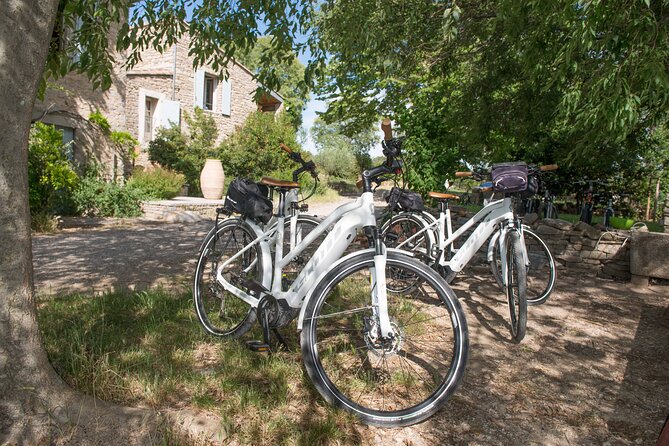 Guided Electric Bike Tours With Tasting in Pic Saint Loup - Traveler Reviews