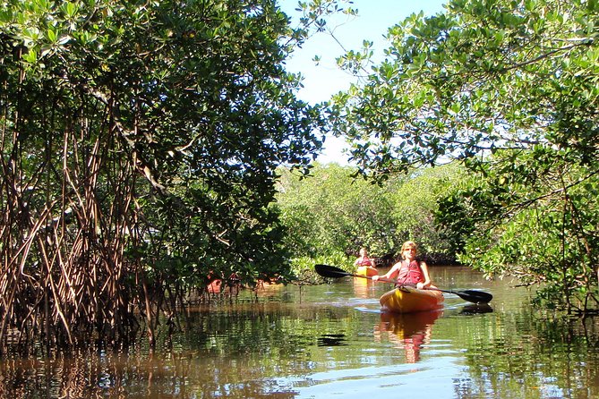 Guided Kayak Eco Tour - Bunche Beach - Tour Experience