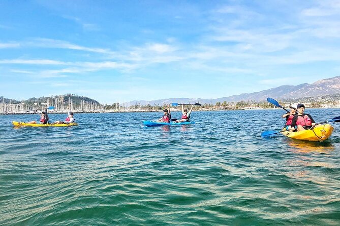 Guided Kayak Wildlife Tour in the Santa Barbara Harbor - Customer Reviews