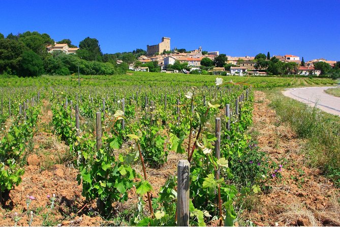 Half Day Great Vineyard Tour From Avignon - Tour Guide JBs Expertise