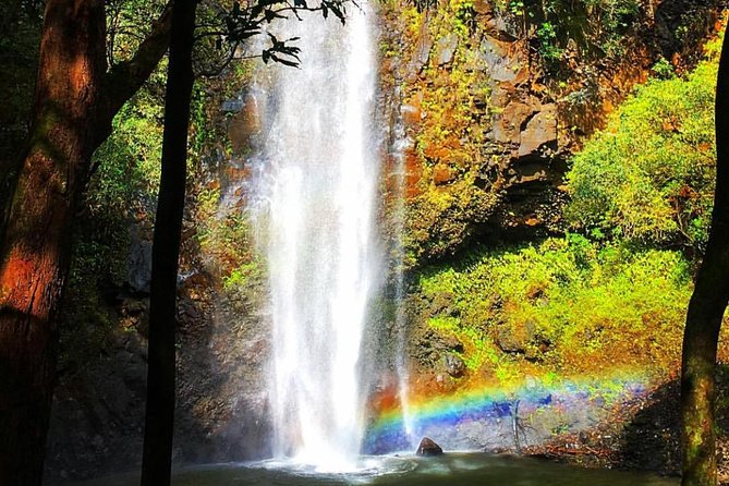 Half-Day Kayak and Waterfall Hike Tour in Kauai With Lunch - Equipment and Requirements