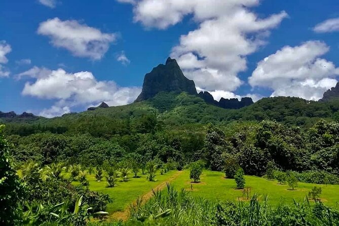 Half-Day Tour of Moorea Island in a Small Group - Common questions