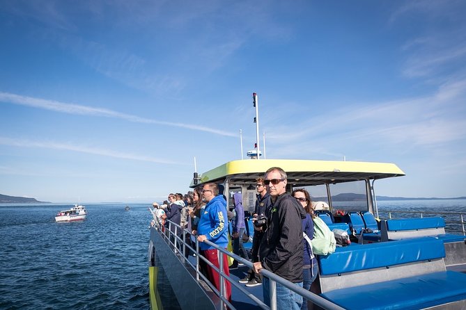 Half-Day Whale Watching Adventure From Vancouver - Common questions