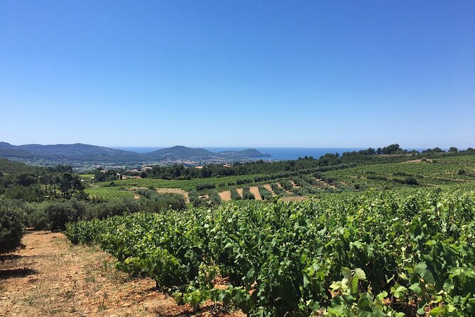 Half Day Wine Tour in Bandol & Cassis From Aix En Provence - Additional Information