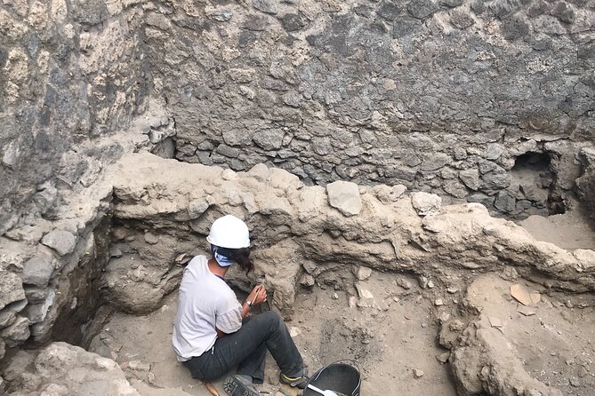 Herculaneum Private Tour With an Archaeologist - Additional Information