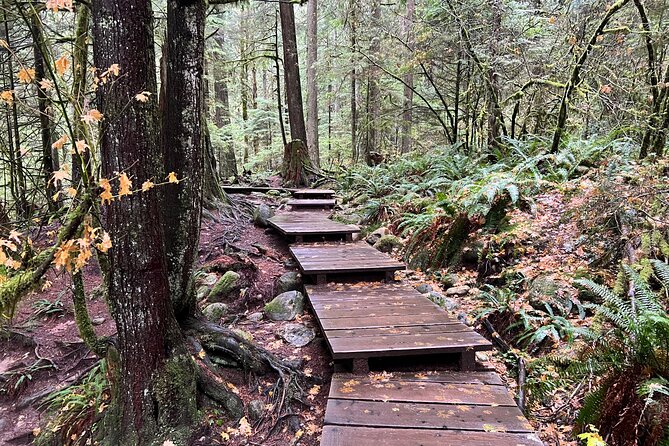 Hike Lynn Canyon and Bike Seymour Demonstration Forest - Essential Gear for Biking