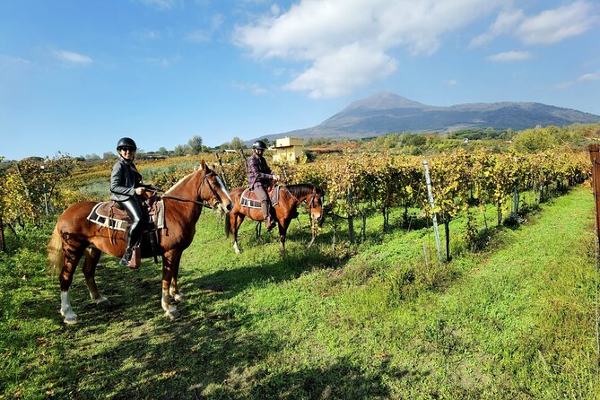 Horseback Riding on Vesuvius - Common questions