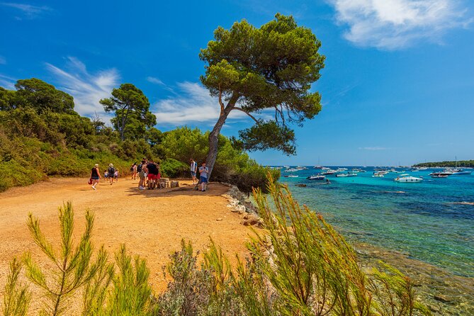 Ile Sainte-Marguerite From Cannes: Self-Guided Tour and Ferry - Recommendations for Island Exploration