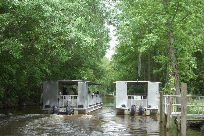 Jean Lafitte 90-Minute Swamp and Bayou Boat Tour - Final Words