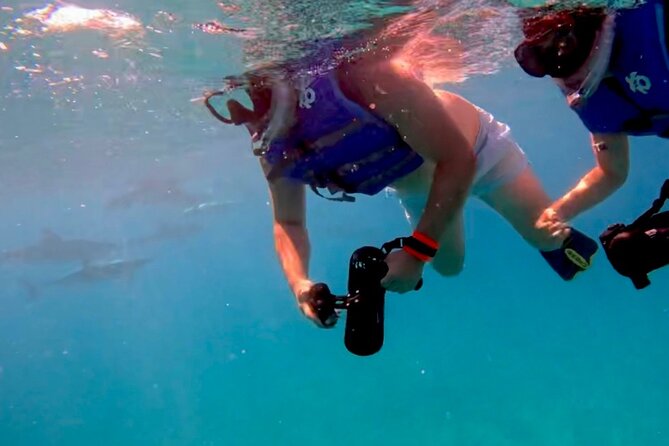 Jet Snorkeling in Turtle, Dolphin and Monk Seal Bay - Snorkeling Experience Details