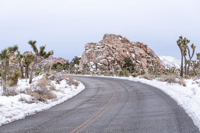 Joshua Tree National Park Self-Driving Audio Tour - Park Highlights and Navigation