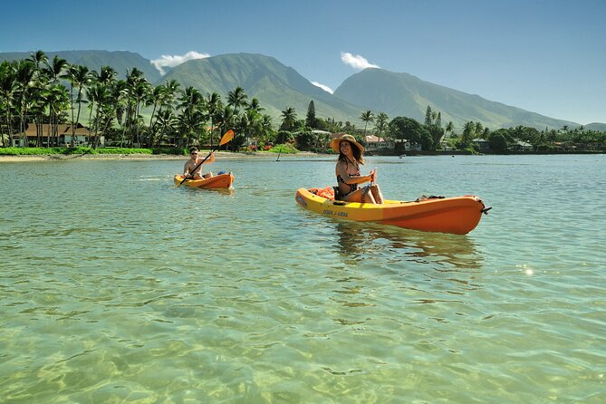 Kayak and Snorkel: Maui West Shore - Customer Feedback and Recommendations