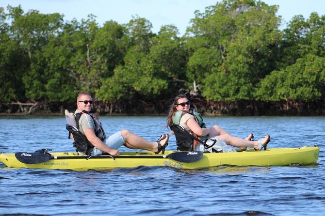 Kayak Tour Adventure Marco Island and Naples Florida - Common questions